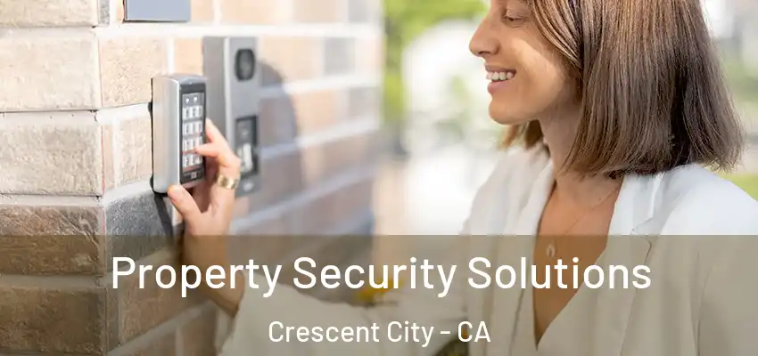  Property Security Solutions Crescent City - CA